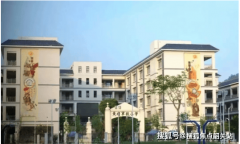 奢华感十脚；中学